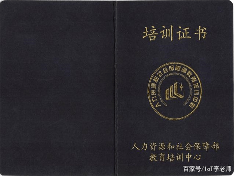 聘书任命书定制 聘书任命书定制-橙绿活力青春风